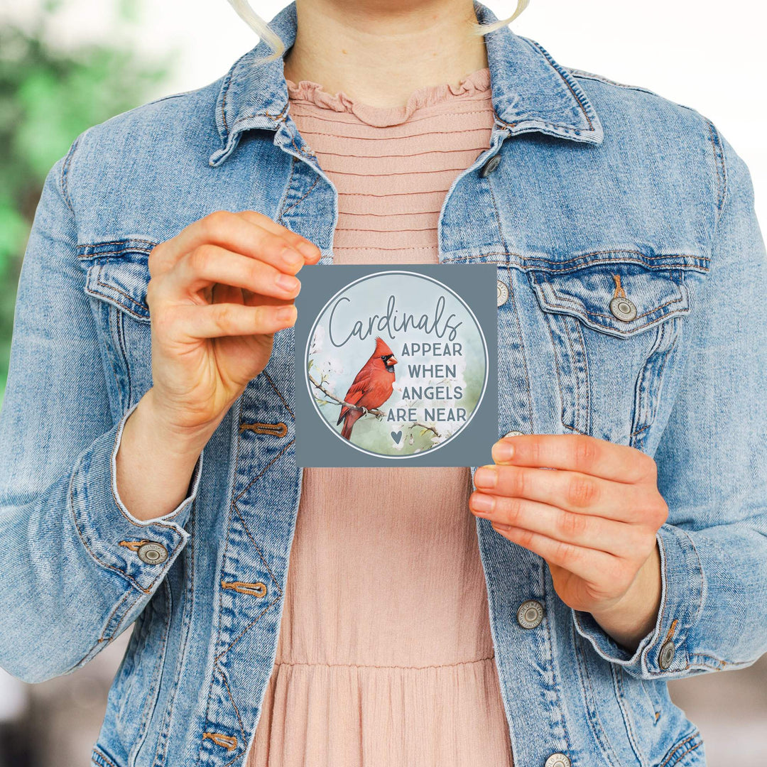 Cardinals Appear Blue