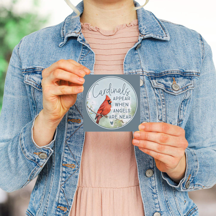 Cardinals Appear Blue