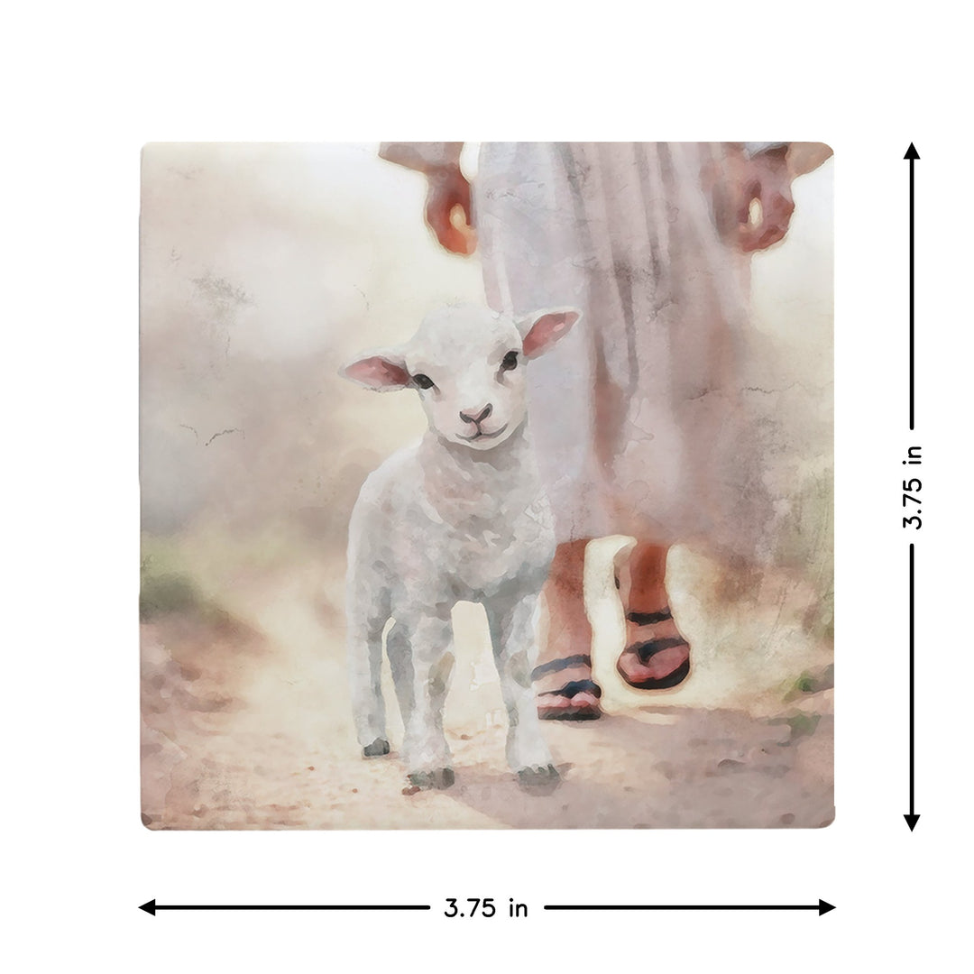 Lamb Walking On Path