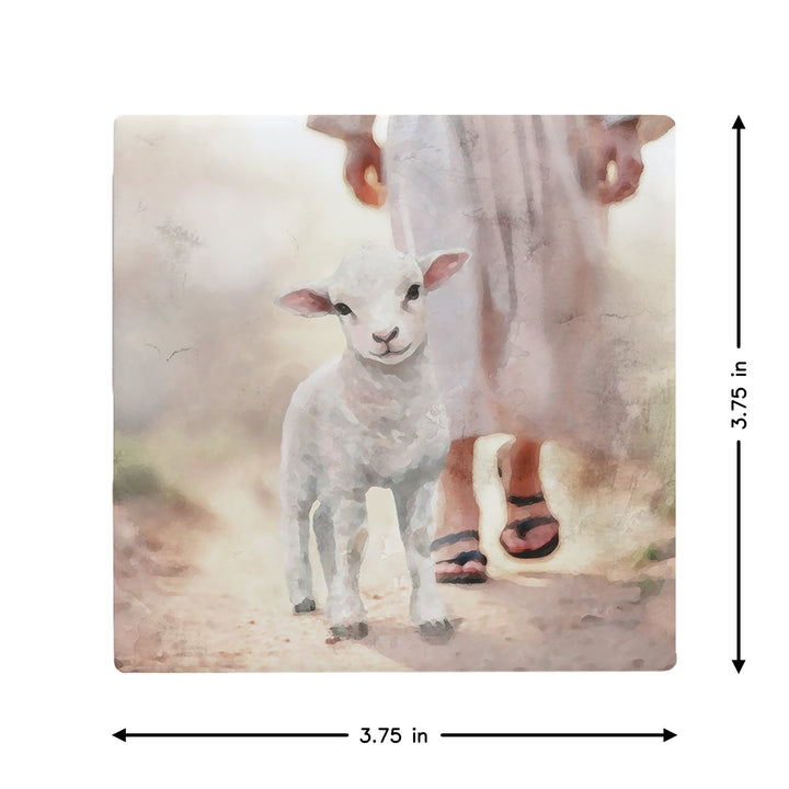 Lamb Walking On Path