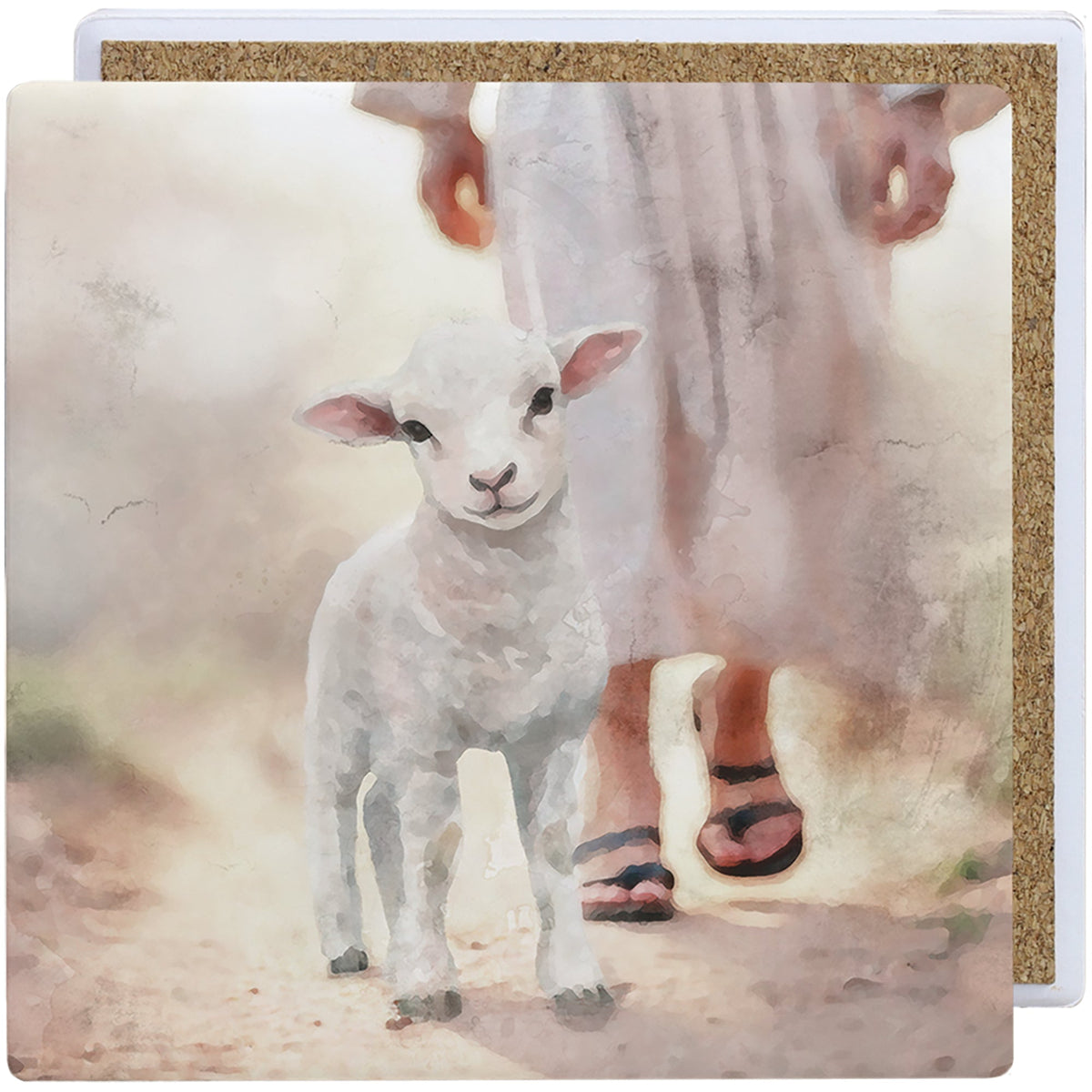Lamb Walking On Path