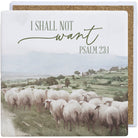 Shall Not Want Flock