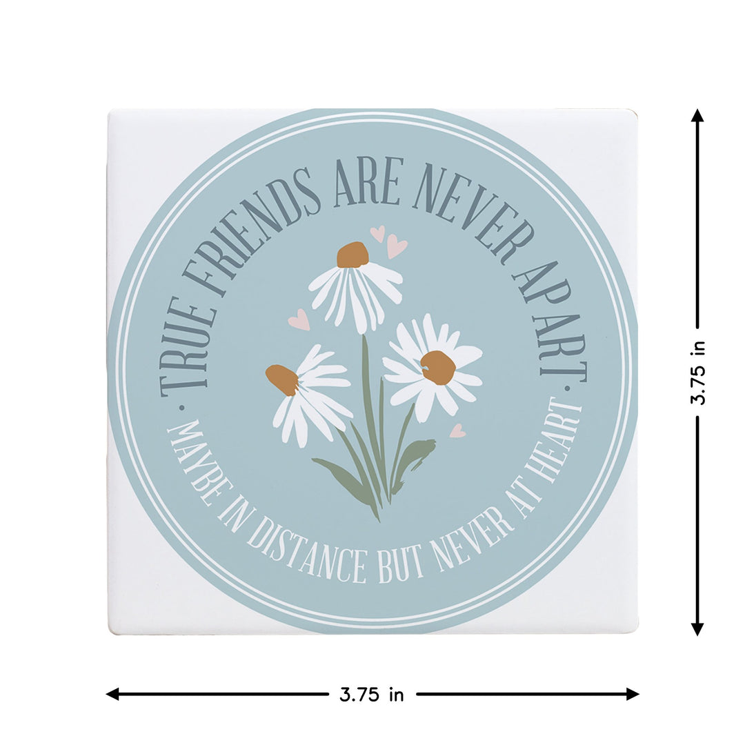 True Friends Daisies