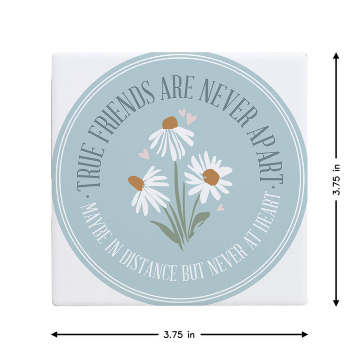 True Friends Daisies