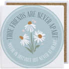 True Friends Daisies