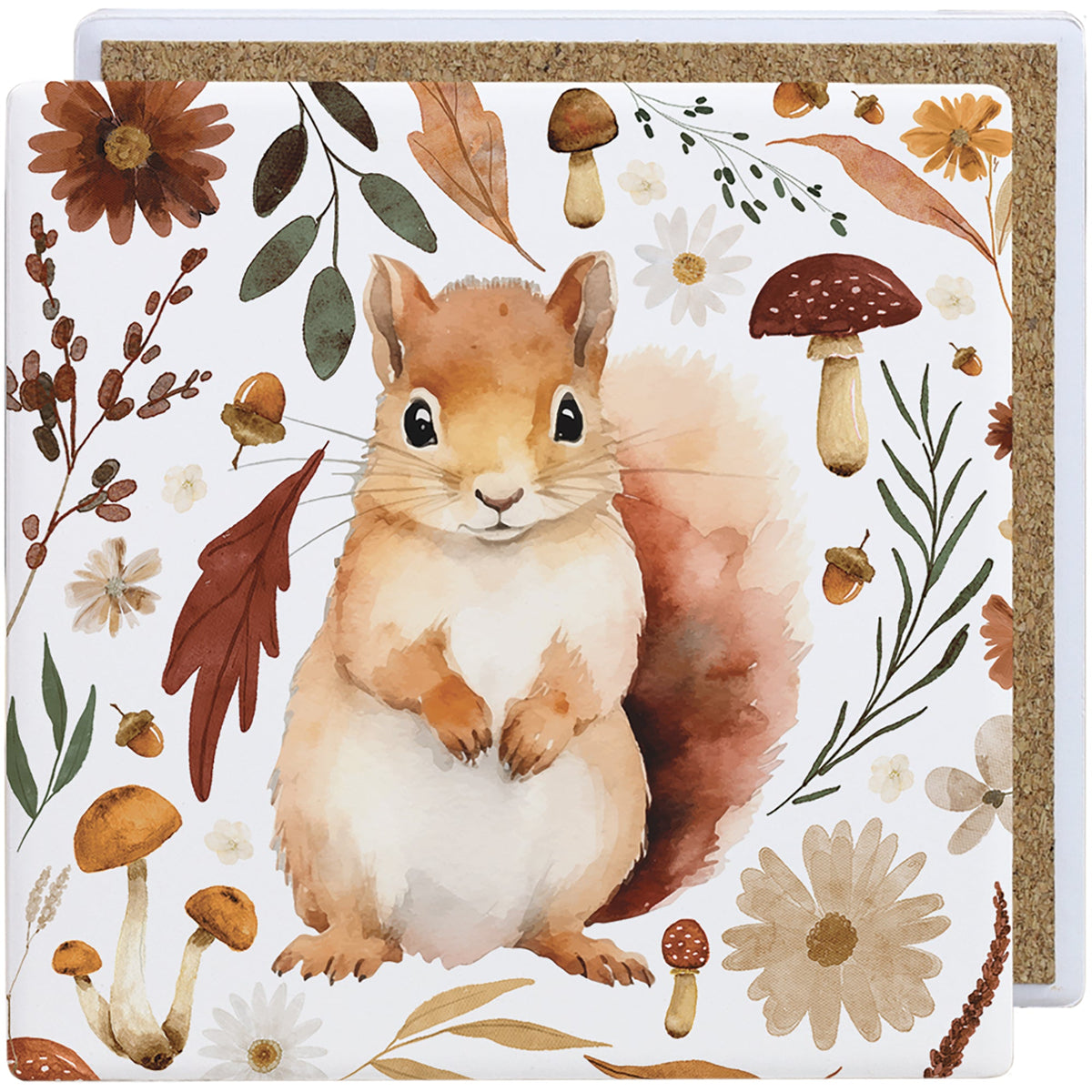 Woodland Squirrel