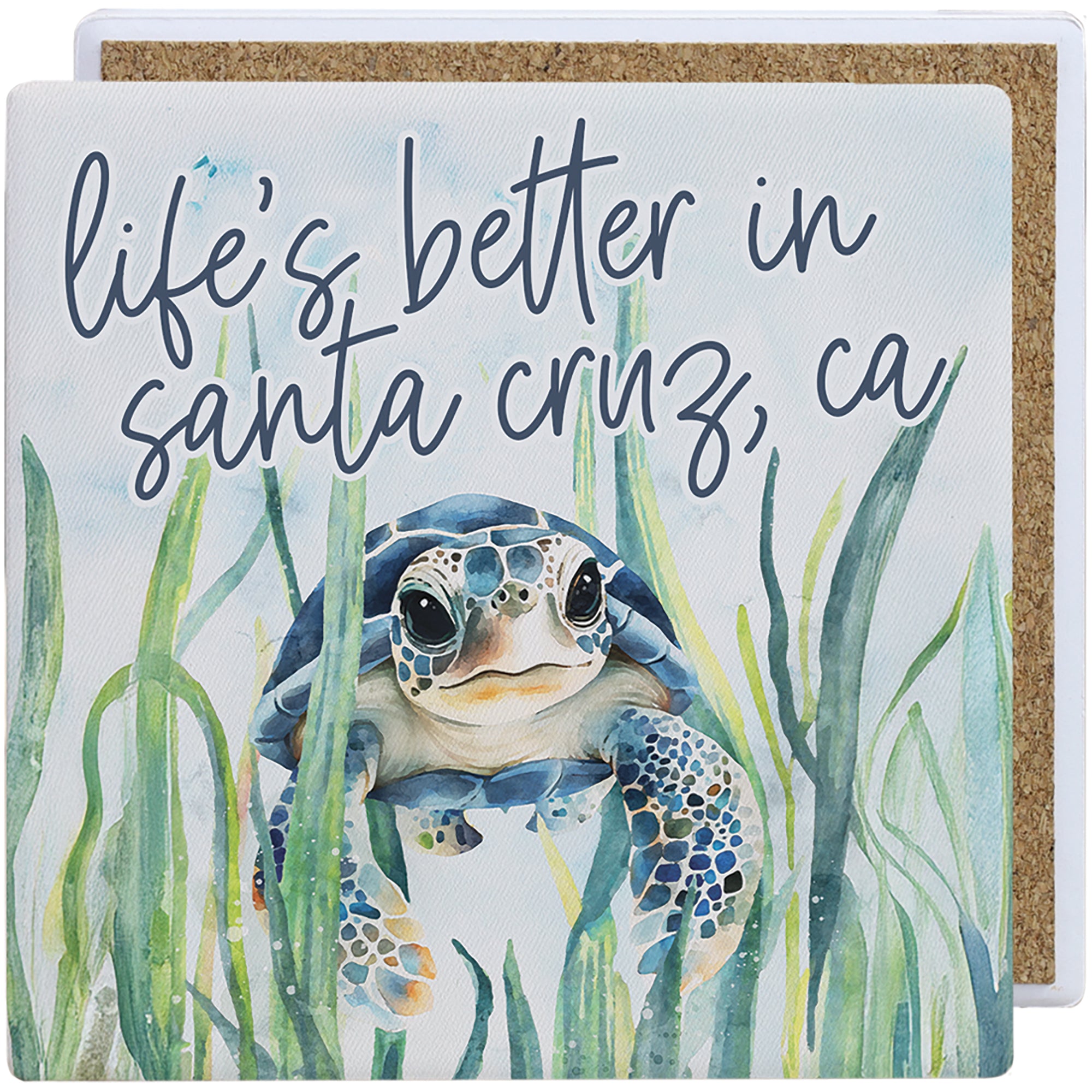 Life's Better Baby Turtle LOC
