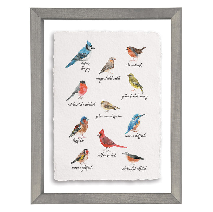 Bird Identifier