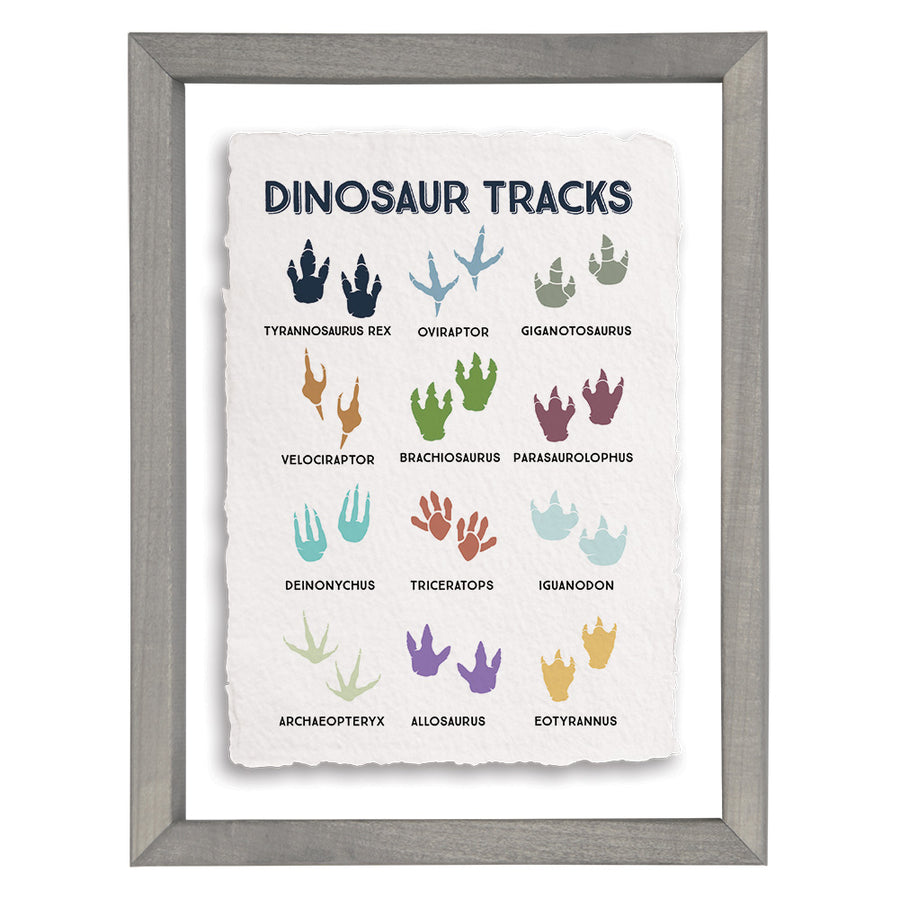 Dinosaur Tracks