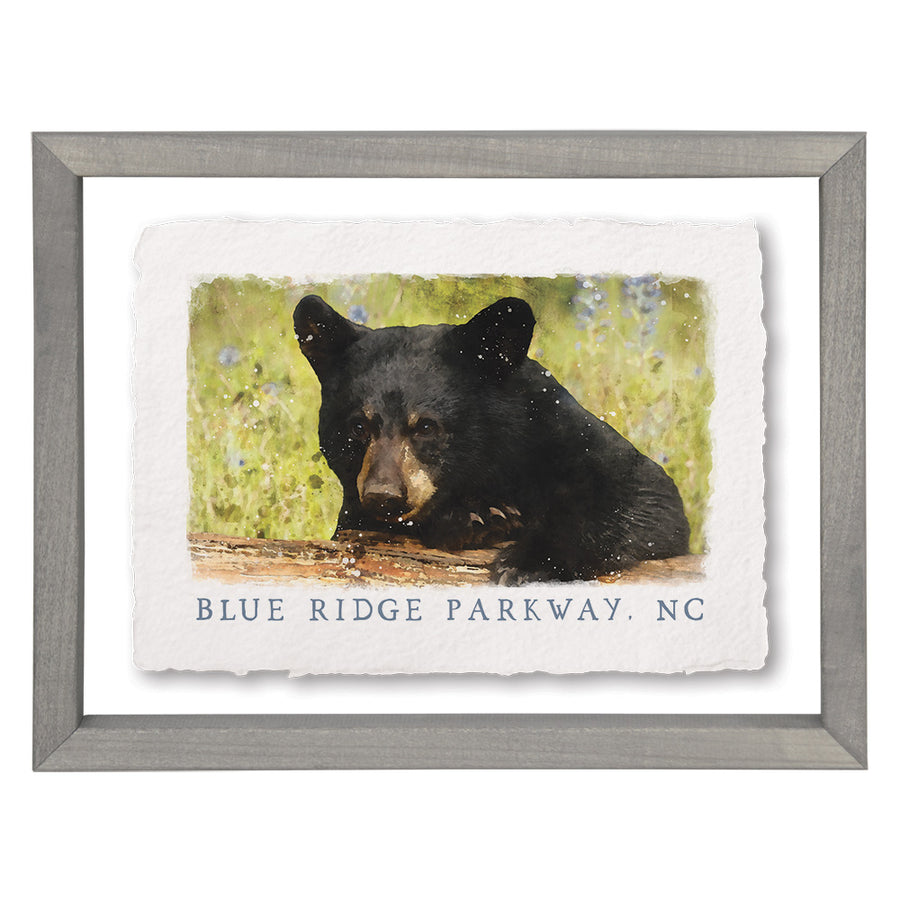 Black Bear Location LOC