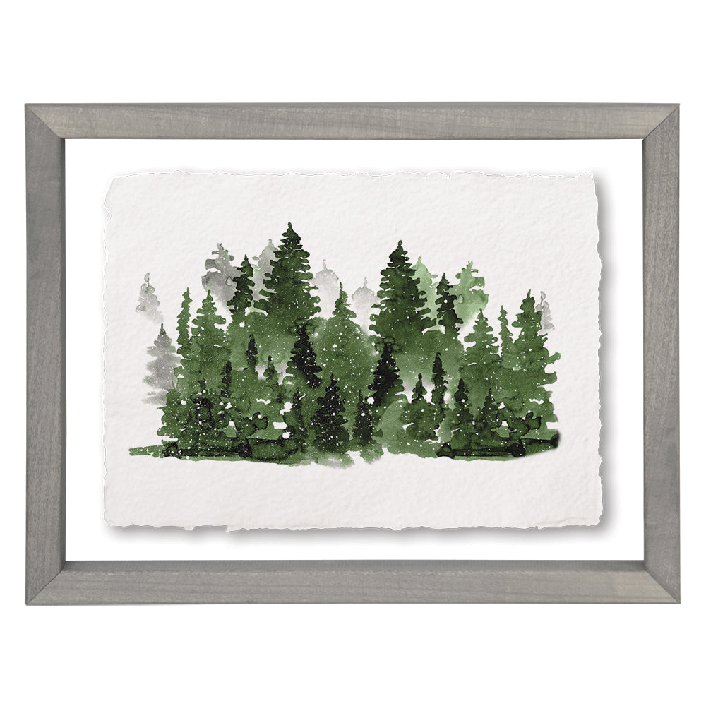 Evergreen Forest