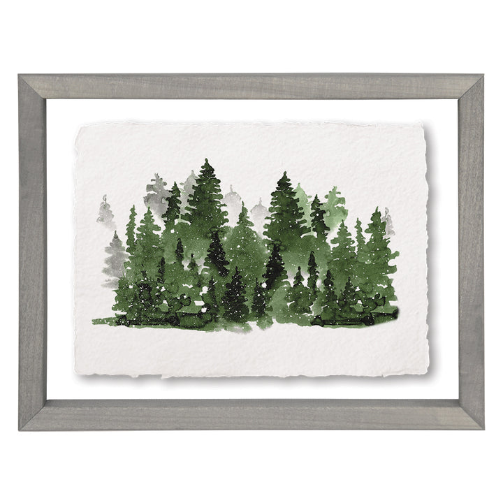 Evergreen Forest