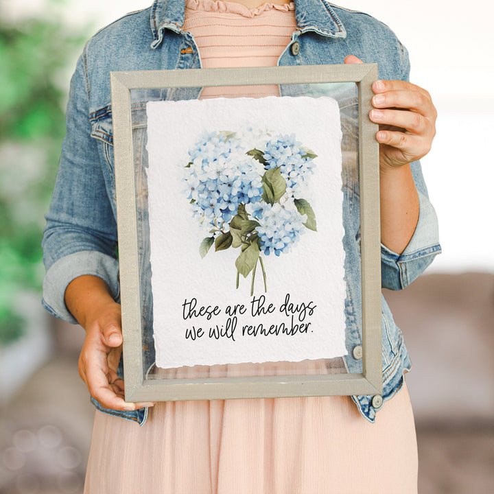 Days Remember Hydrangea
