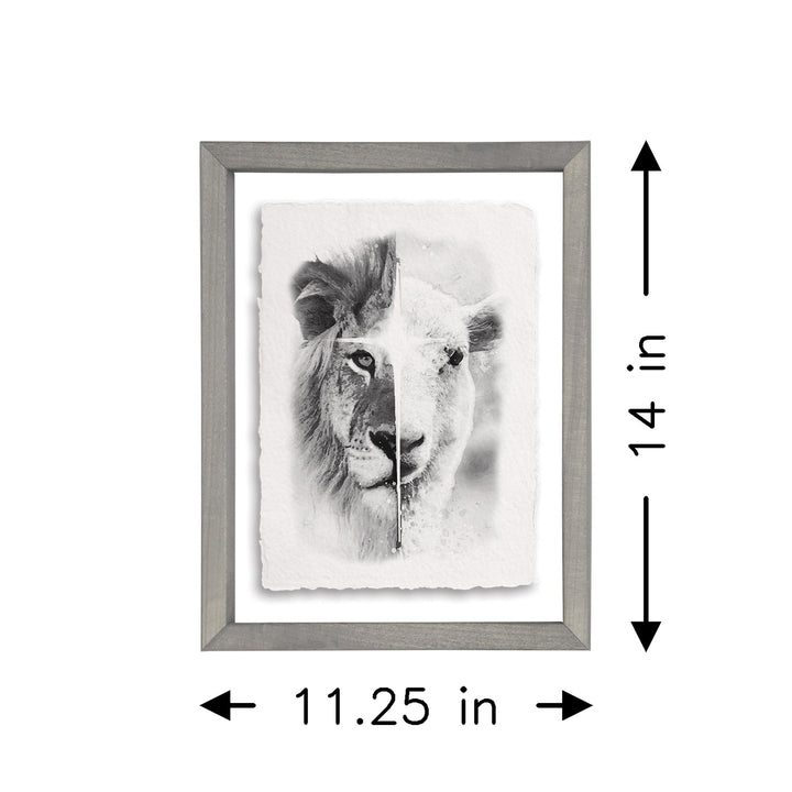 B&W Lion Lamb