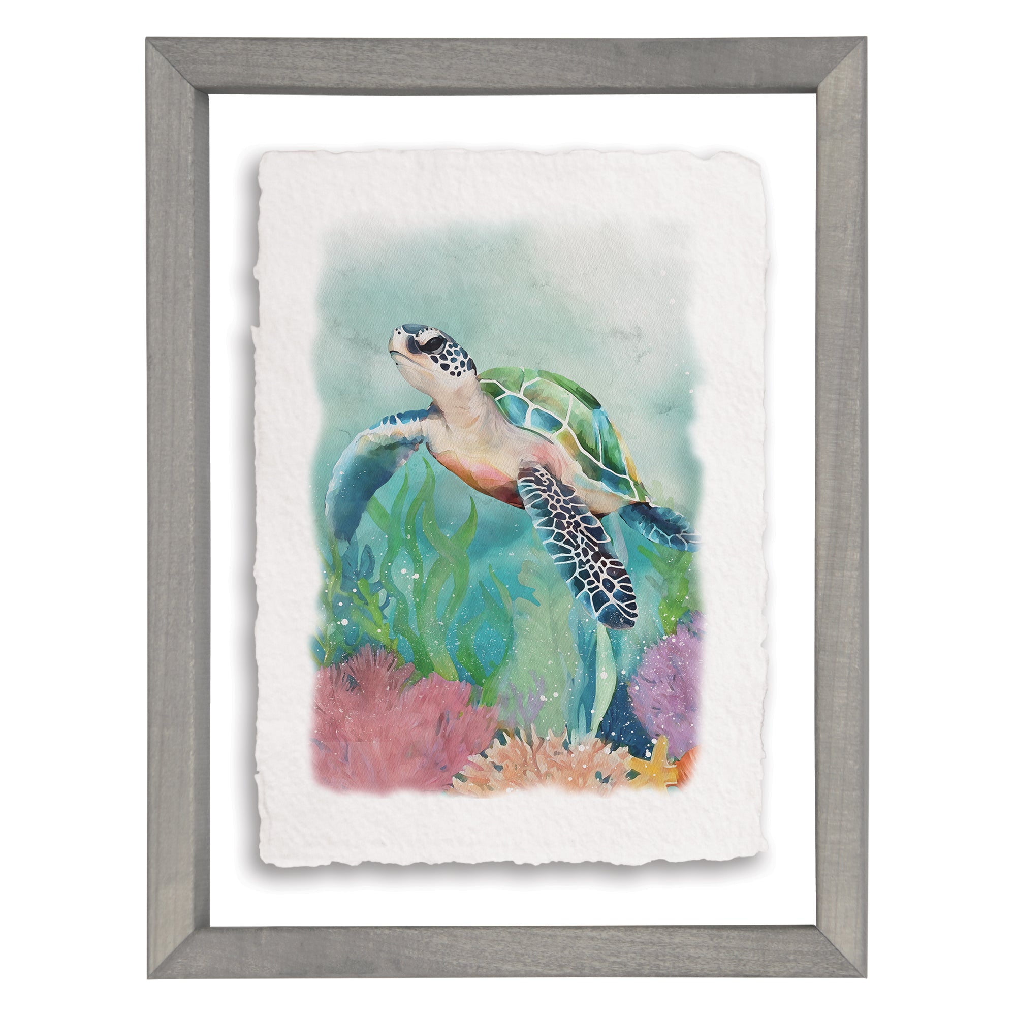 Sea Turtle Corals
