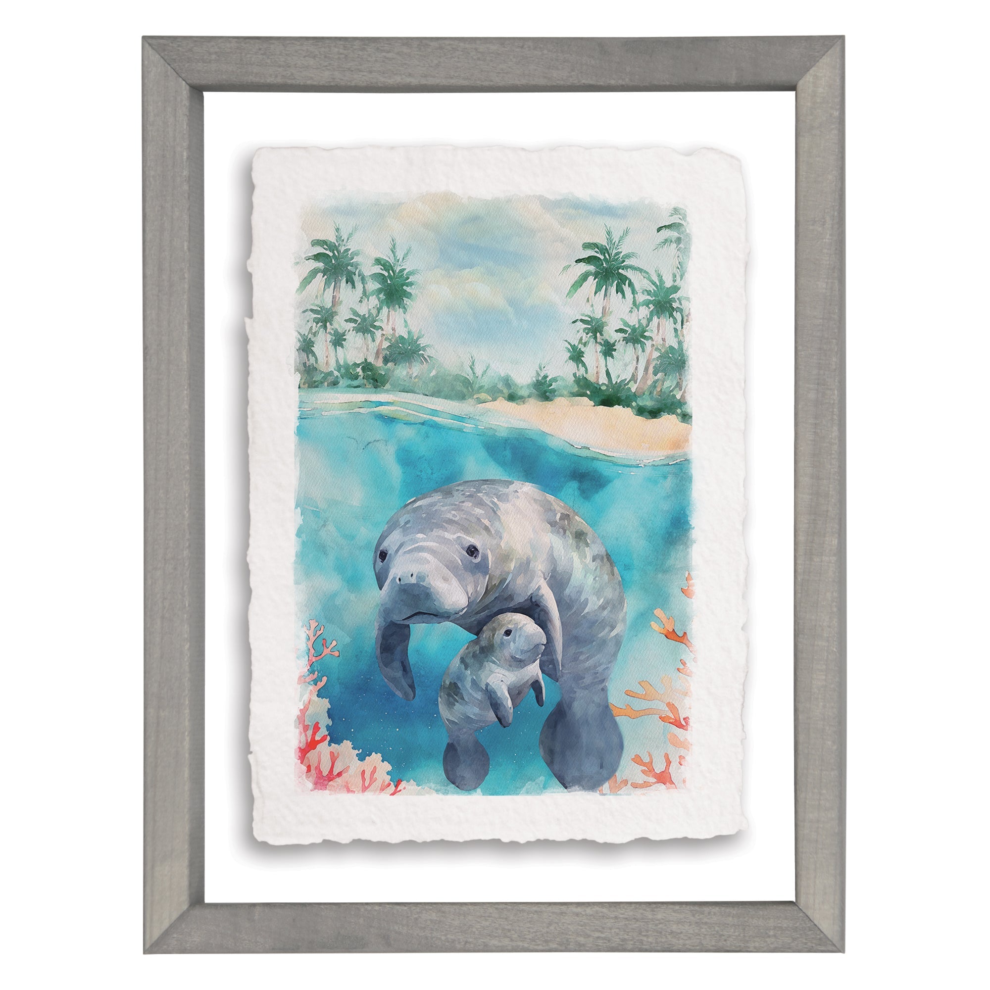 Manatee Beach Scene