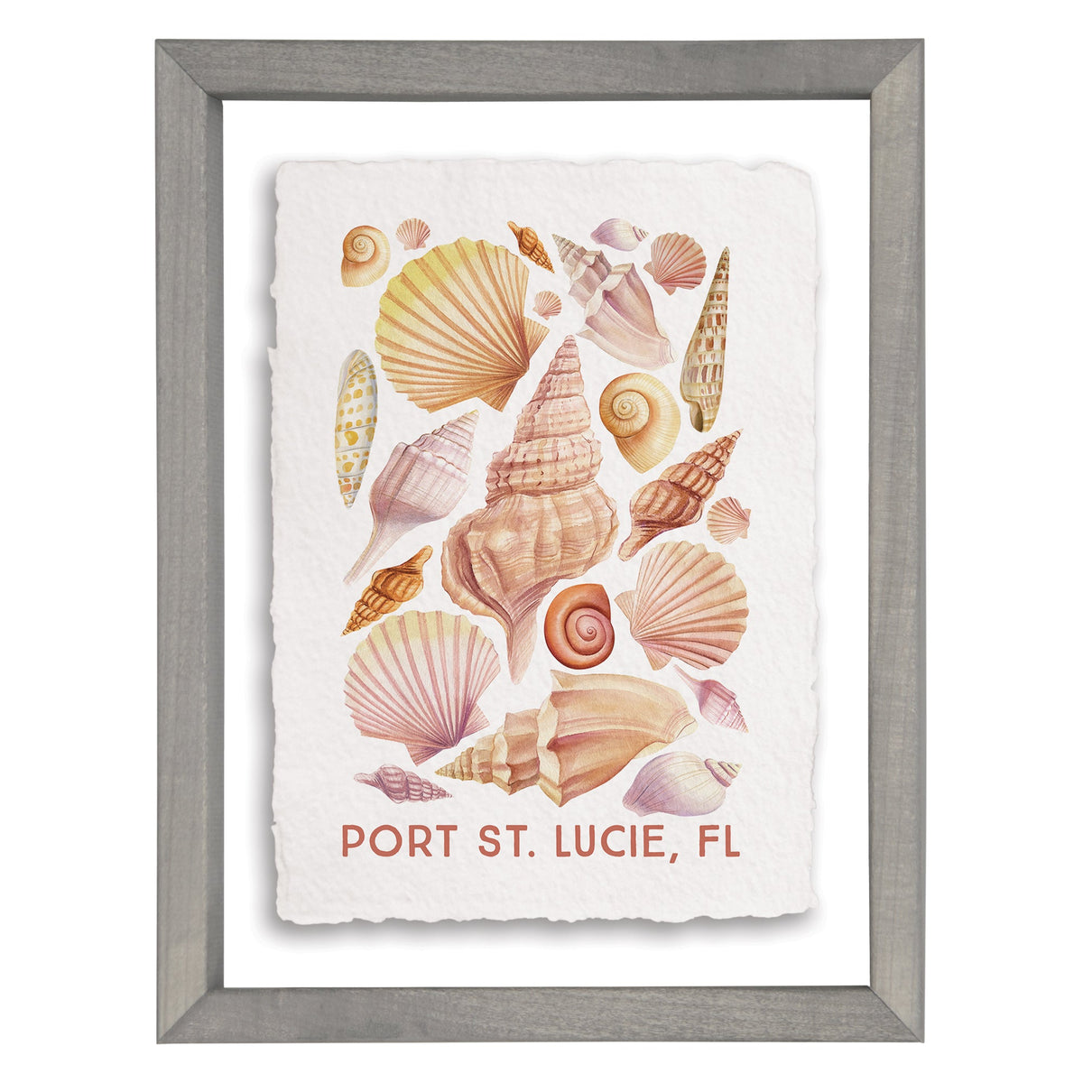Seashell Collage LOC