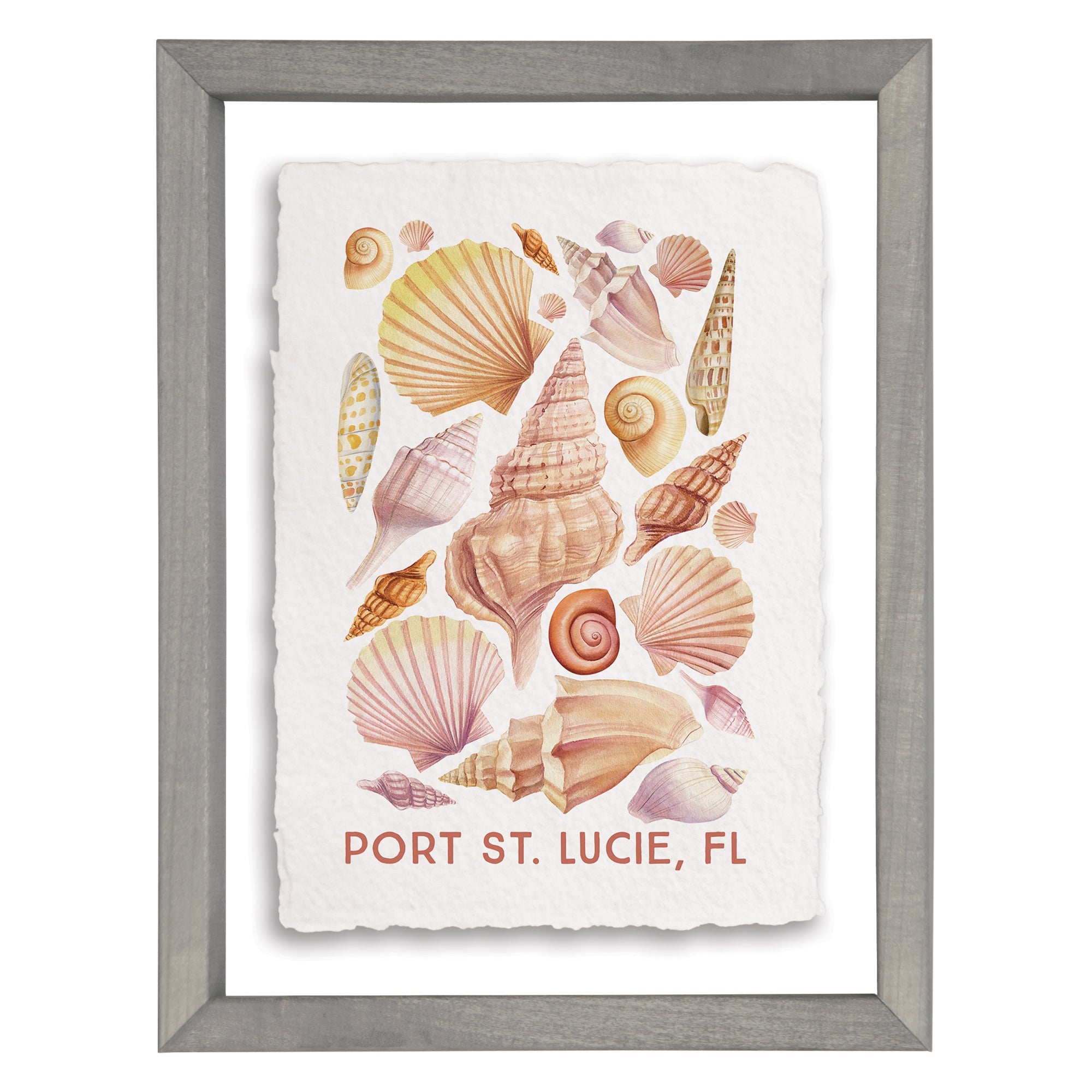 Seashell Collage LOC