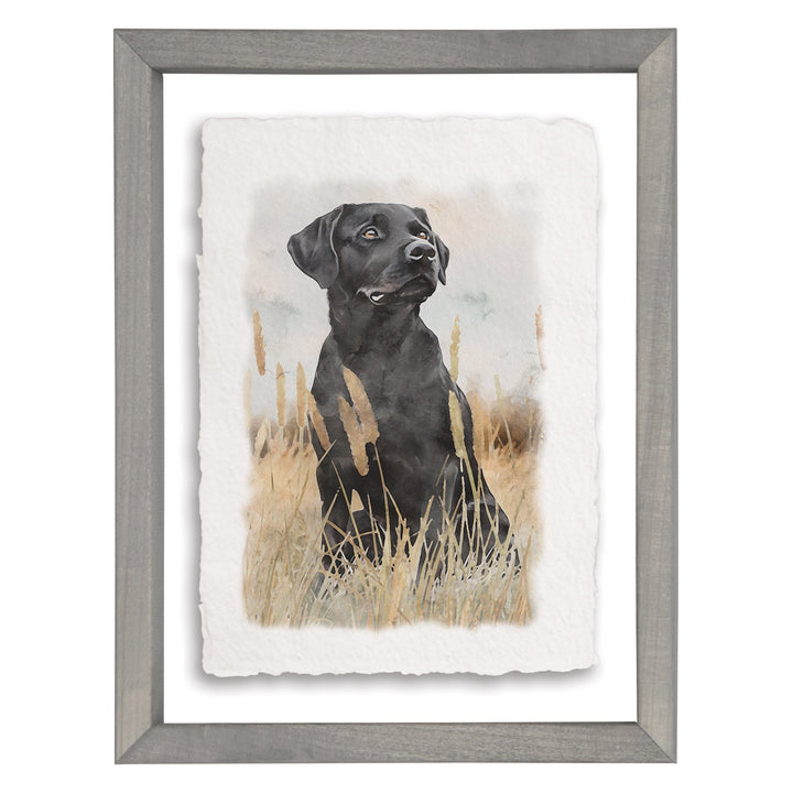 Labrador Grass Scene