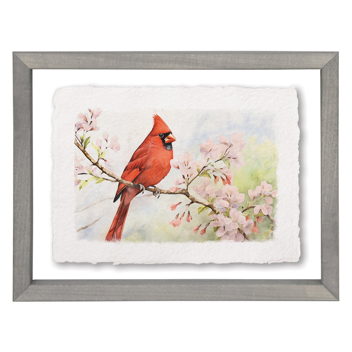 Cherry Blossom Cardinal