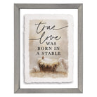 True Love Born Stable
