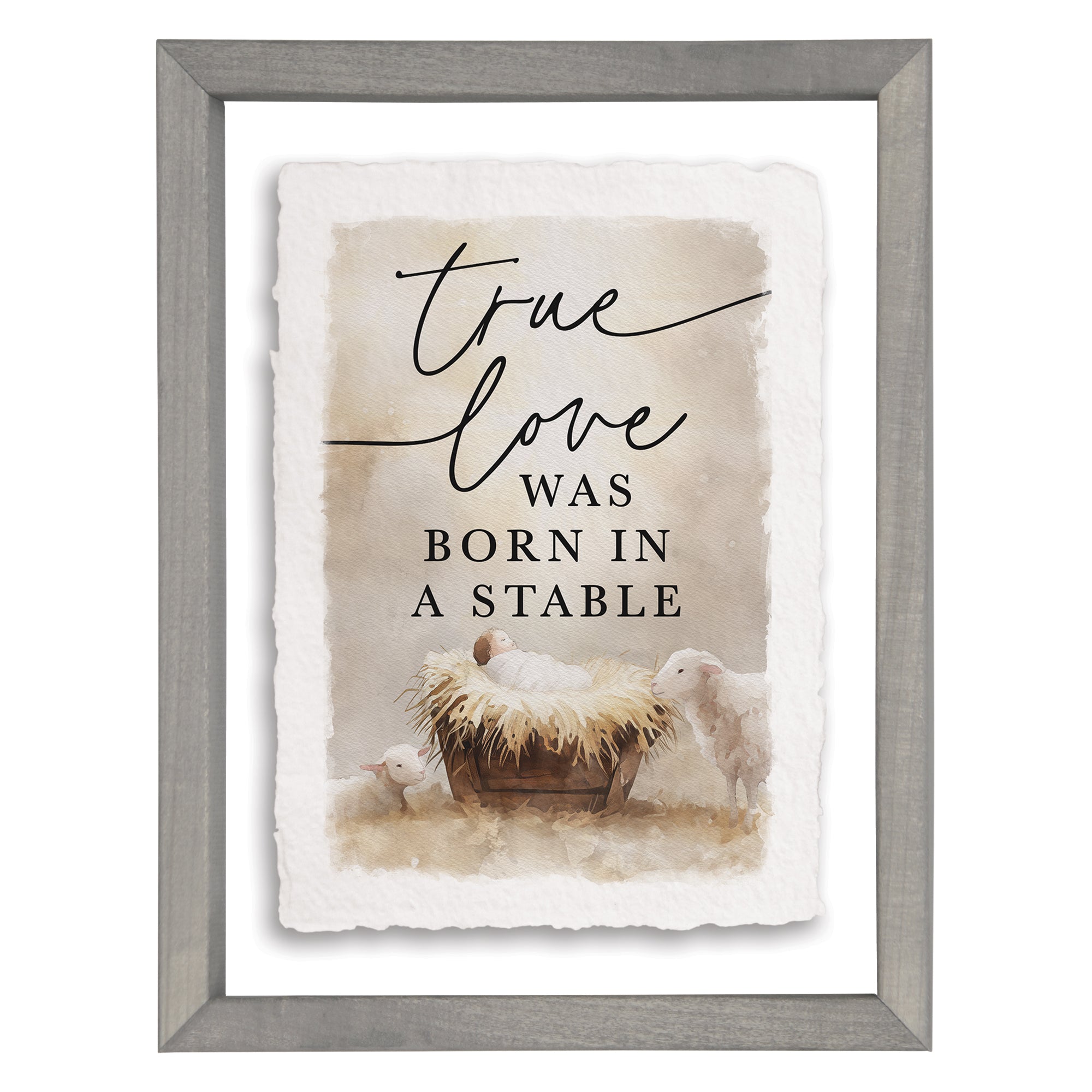 True Love Born Stable