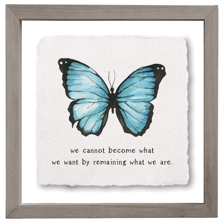 Cannot Become Butterfly