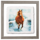 Horse Running Beach