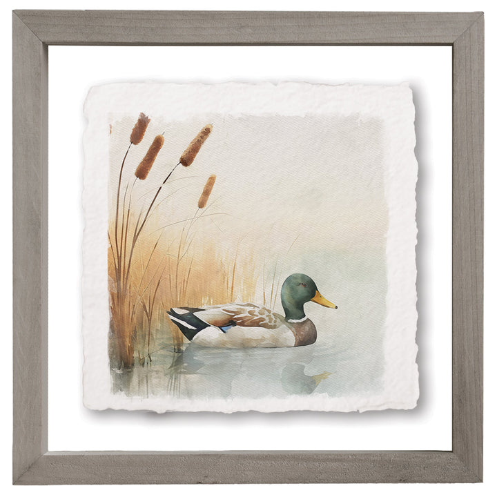 Duck Cattails Scene