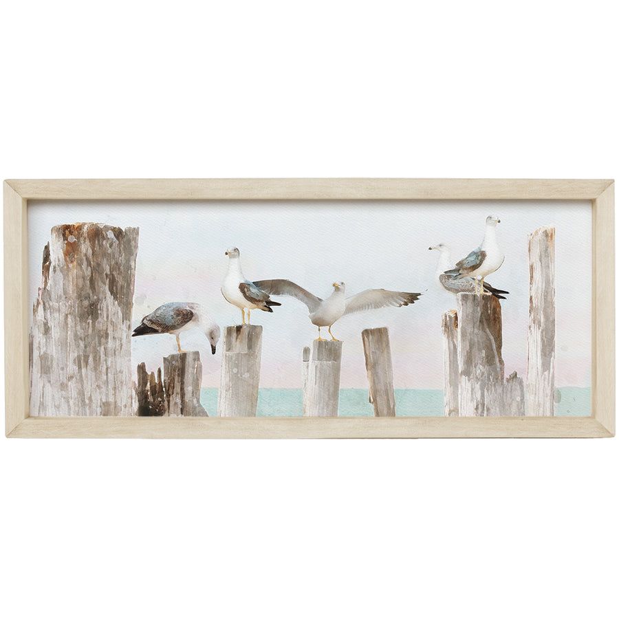 Seagulls Scene