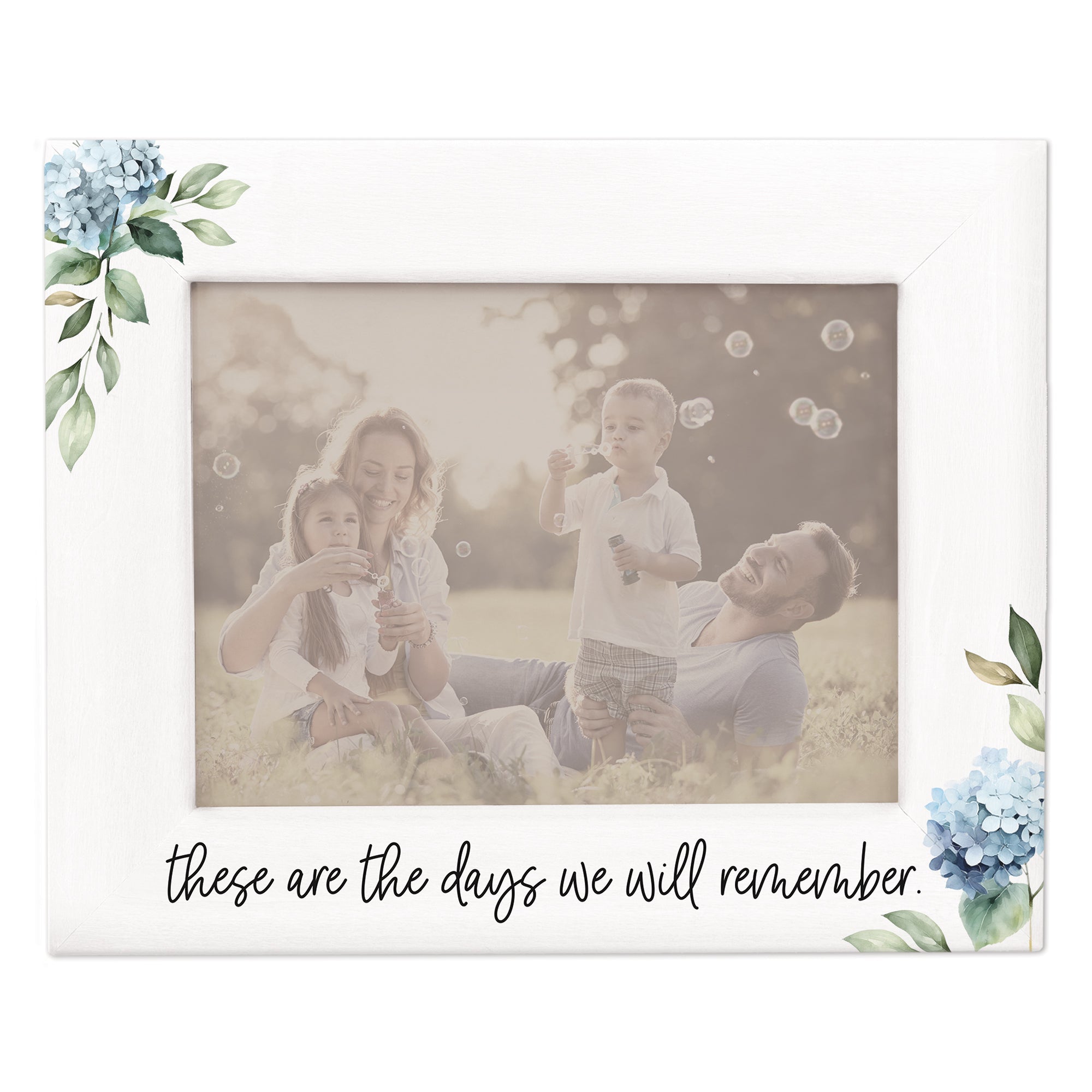 Days Remember Hydrangeas