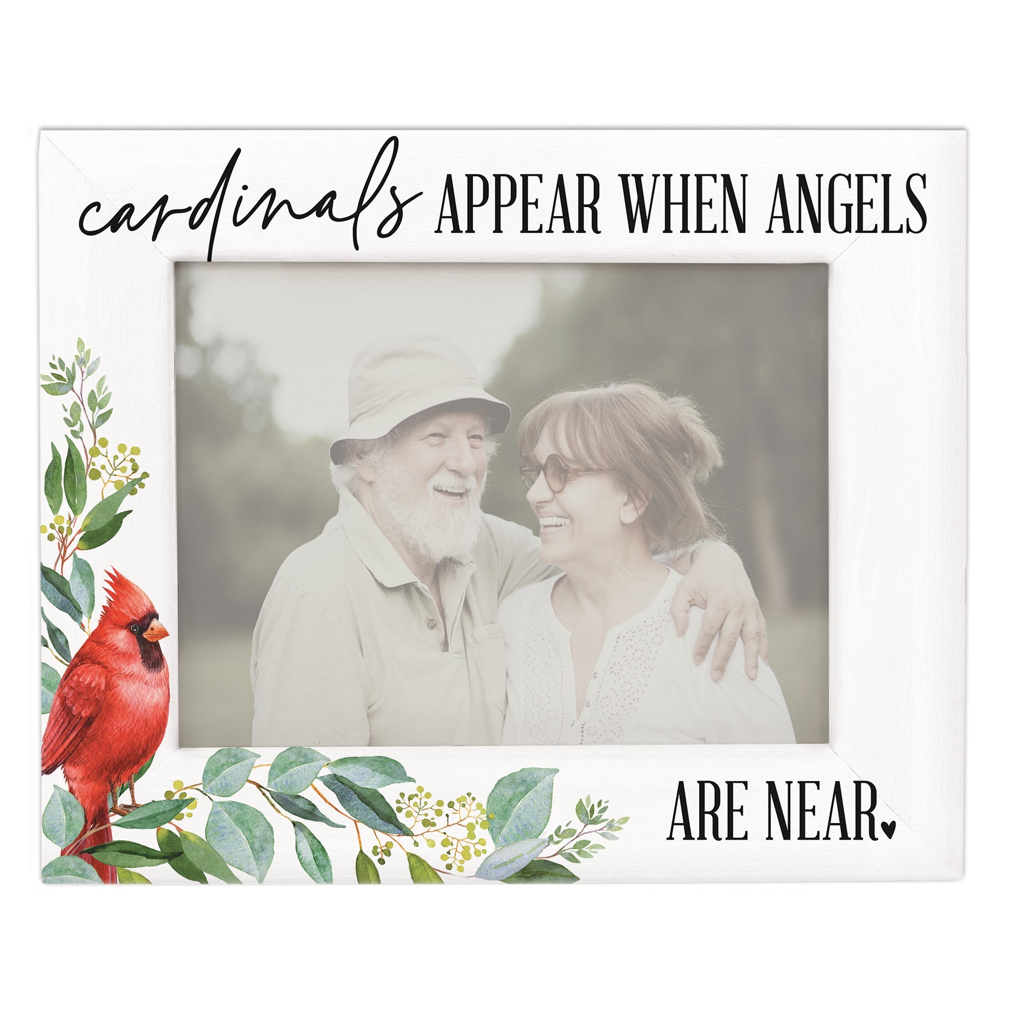 Cardinals Appear