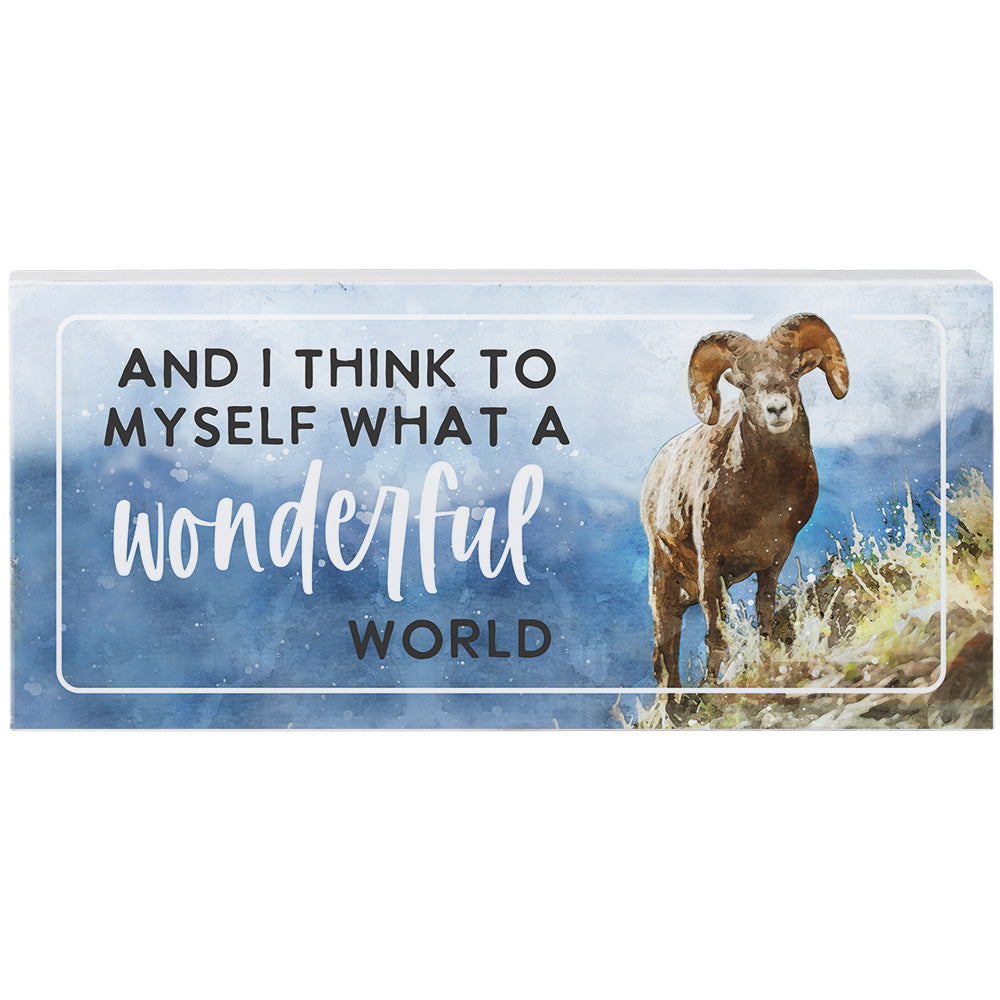 Wonderful World Bighorn 