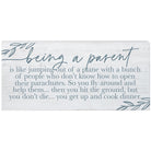 Being A Parent Plane