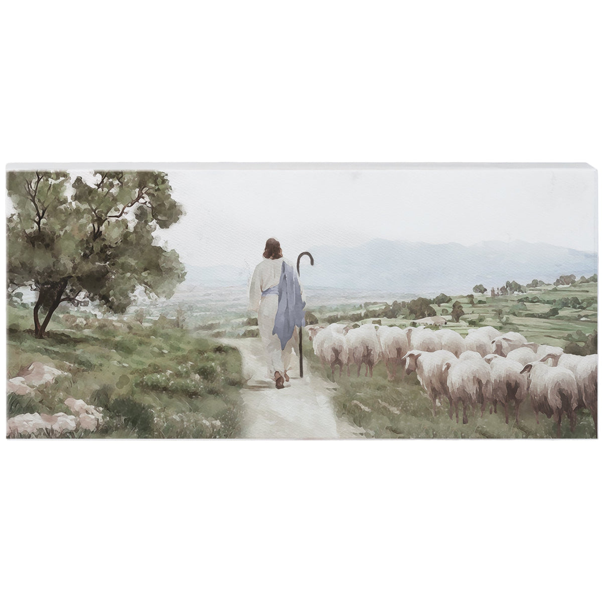 Jesus Shepherd Flock