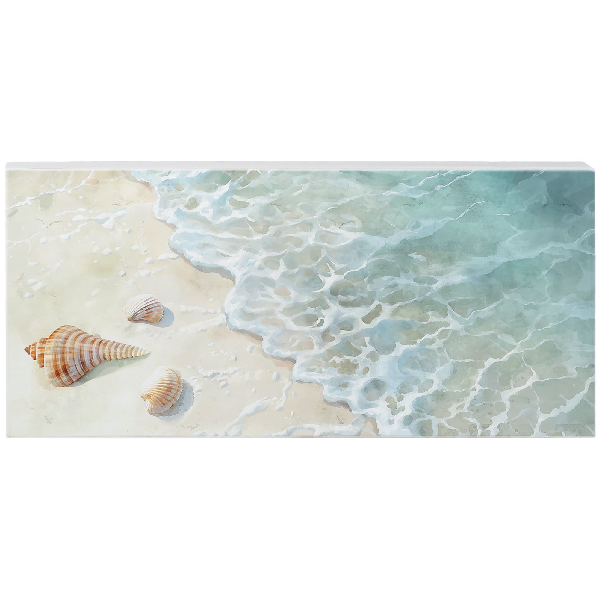 Shoreline With Shells