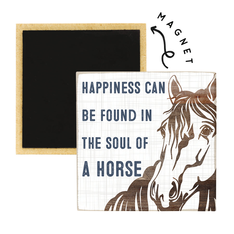 Soul Of A Horse