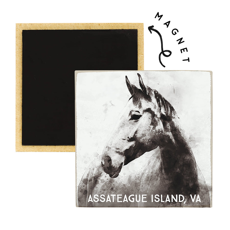 B&W Horse LOC