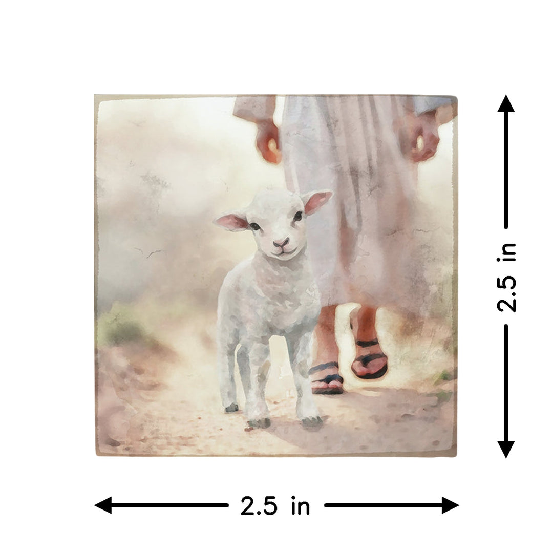 Lamb Walking On Path