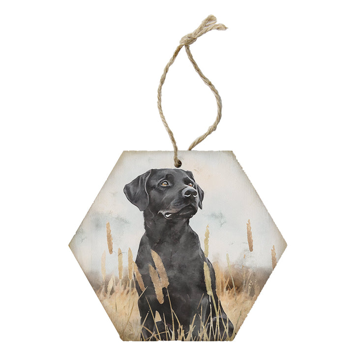 Labrador Grass Scene
