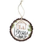 Love Came Down Nativity