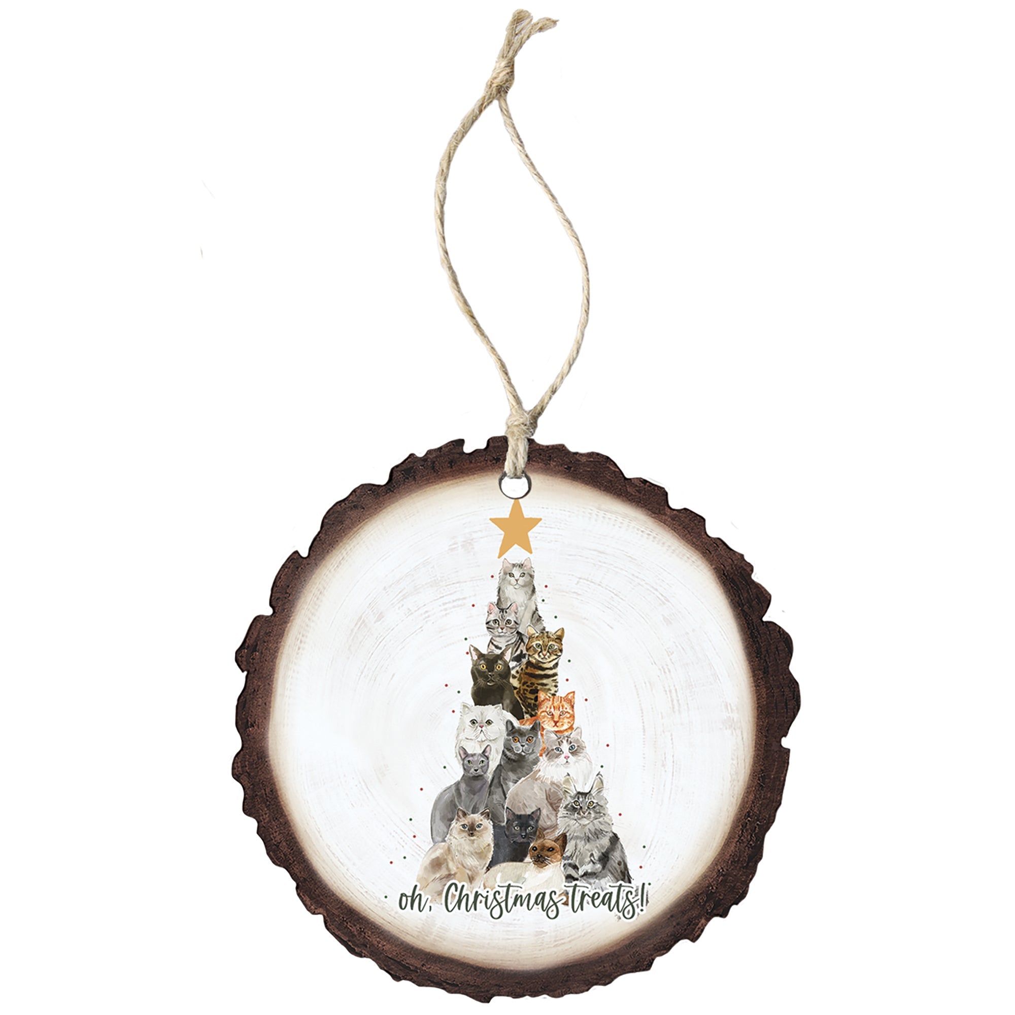 Christmas Treats Cats
