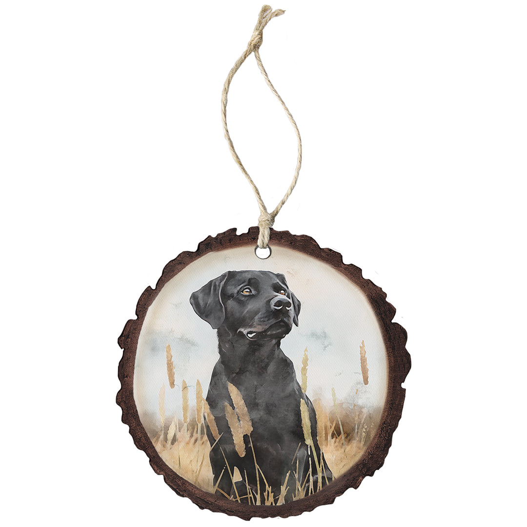 Black Lab