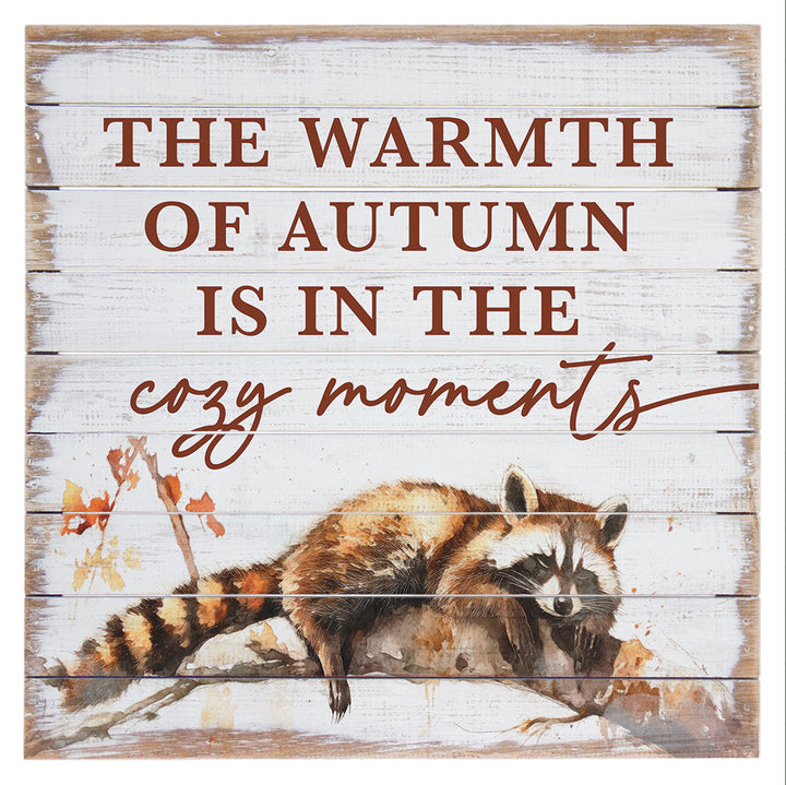 Cozy Moments Raccoon