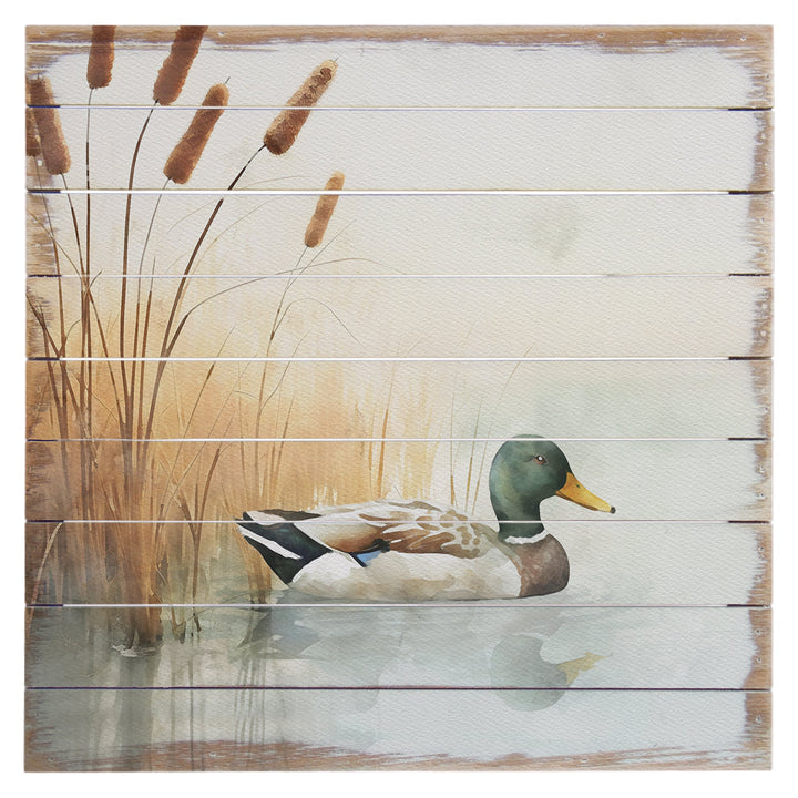 Duck Cattails Scene