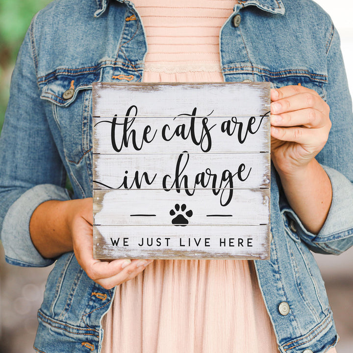 Cats In Charge PER
