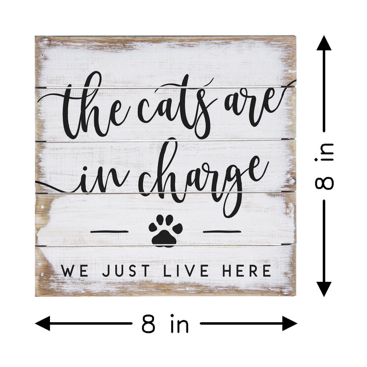 Cats In Charge PER
