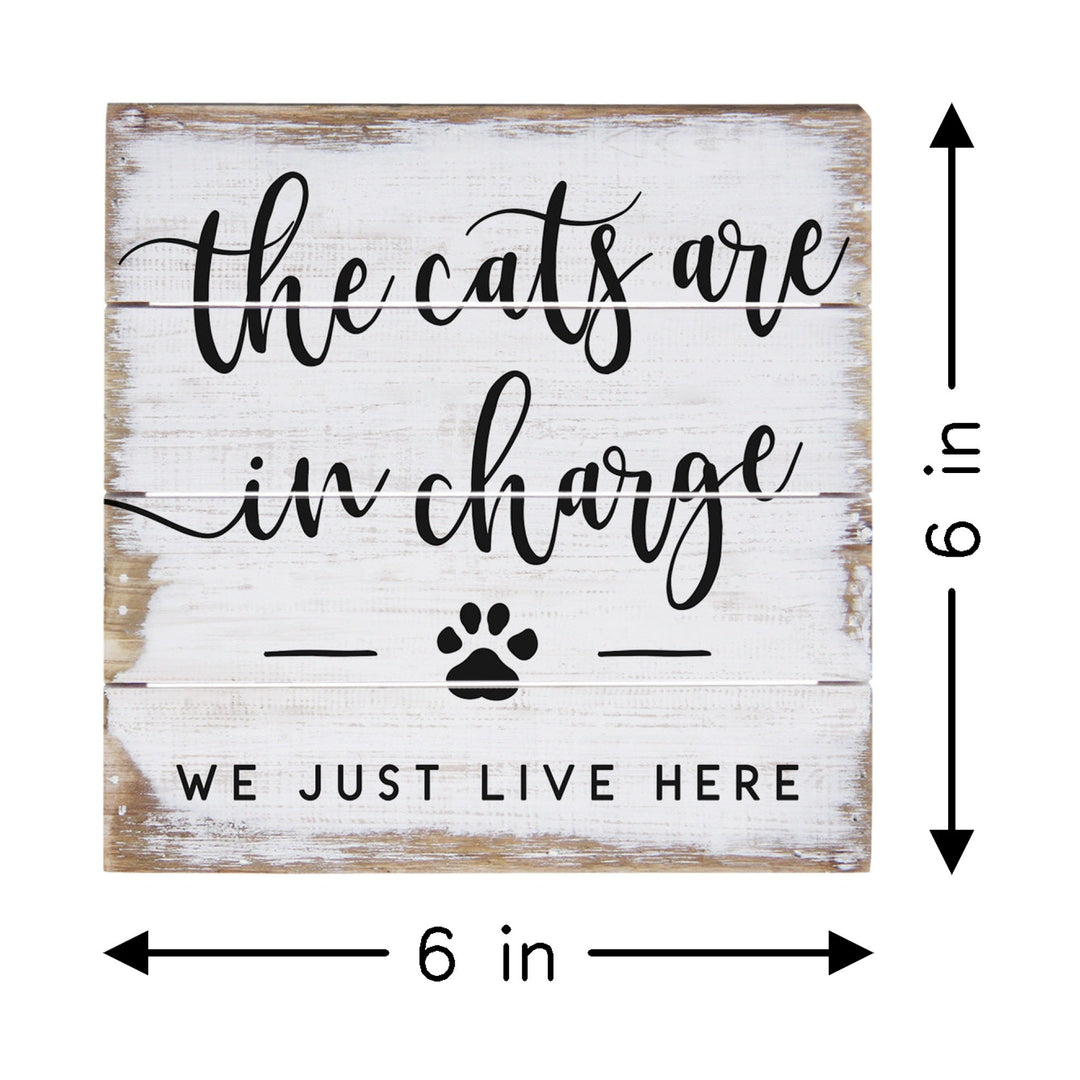 Cats In Charge PER