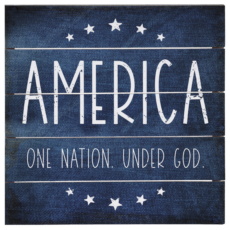 America One Nation 8"