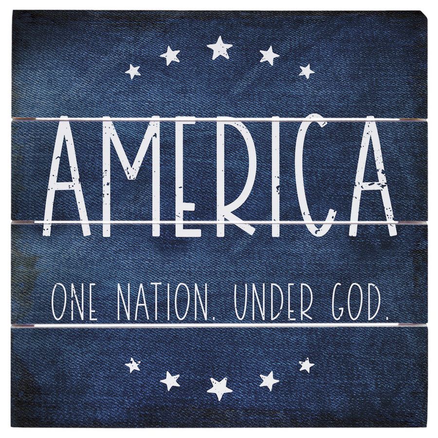 America One Nation 6"